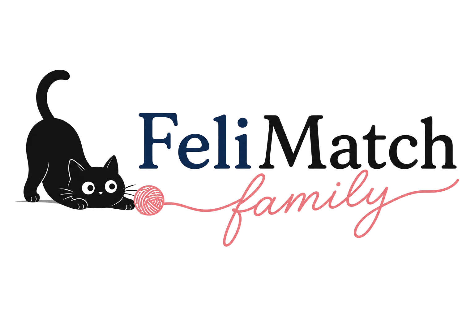 FeliMatch Family